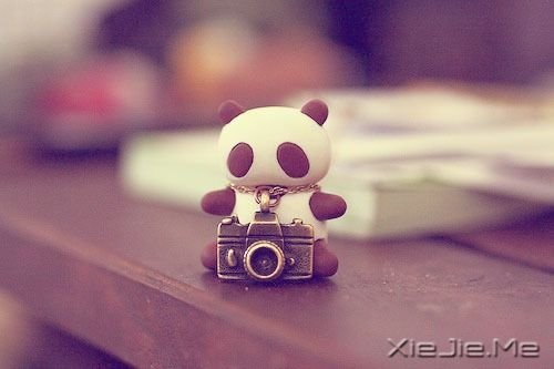晚安心语:不要为旧的悲伤,浪费新的眼泪 (2)