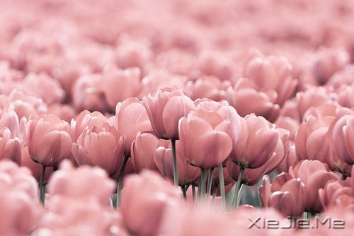 ��ѧ����Ҫѧ�����ʮ����