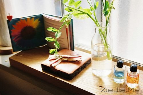 治愈系图片 (4)